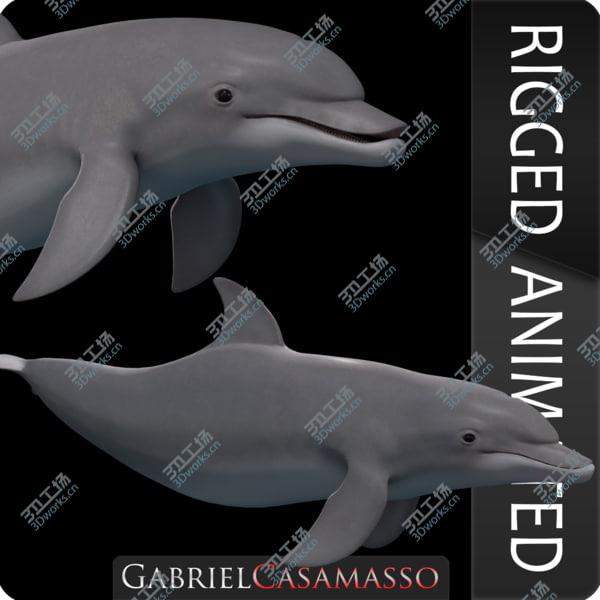 images/goods_img/20210312/Tursiops truncatus 3D/1.jpg
